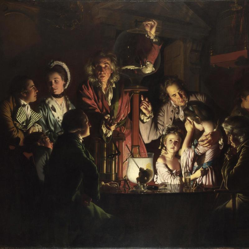 An Experiment on a Bird in the Air Pump