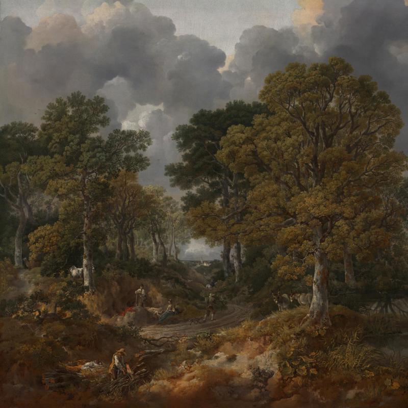 Cornard Wood, near Sudbury, Suffolk