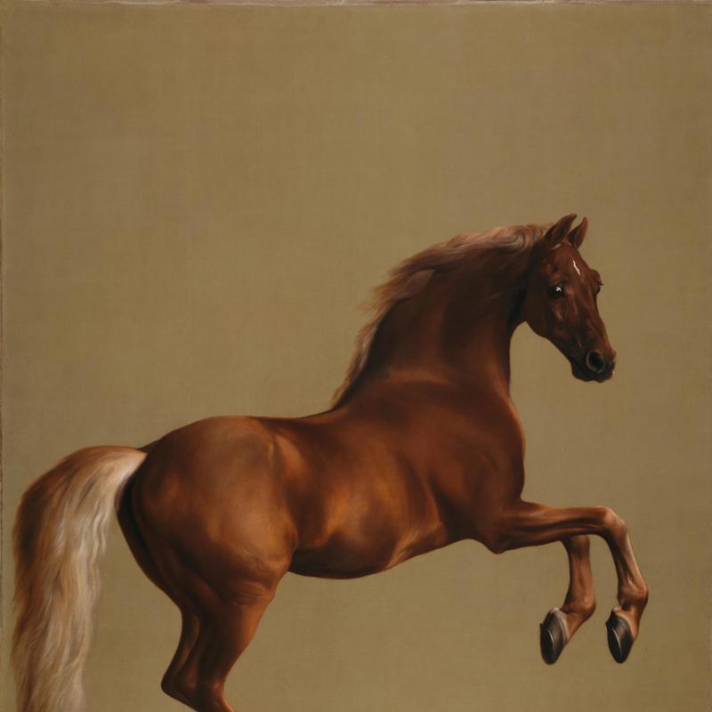 Whistlejacket